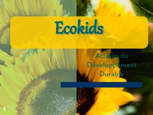 Ecokids Acteurs du Dveloppement Durable 1 Le Dveloppement