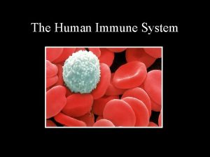 The Human Immune System What is the immune