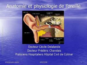 Anatomie et physiologie de loreille Docteur Ccile Delalande