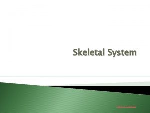 Skeletal System Table of Contents TABLE OF CONTENTS