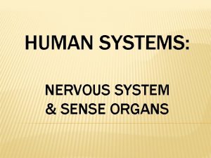 HUMAN SYSTEMS NERVOUS SYSTEM SENSE ORGANS NERVOUS SYSTEM