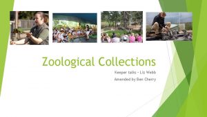 Zoological Collections Keeper talks Liz Webb Amended by