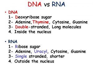 DNA vs RNA DNA 1 Deoxyribose sugar 2