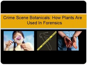 Crime Scene Botanicals How Plants Are Used In