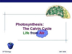 Photosynthesis The Calvin Cycle Life from Air AP