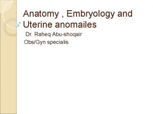 Anatomy Embryology and Uterine anomailes Dr Raheq Abushoqair