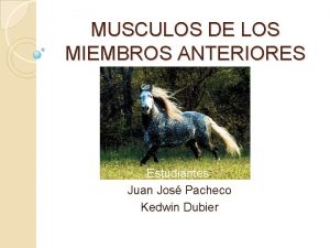 MUSCULOS DE LOS MIEMBROS ANTERIORES Estudiantes Juan Jos