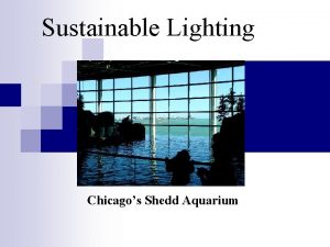 Sustainable Lighting Chicagos Shedd Aquarium Cover Photo by