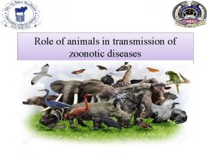 Role of animals in transmission of zoonotic diseases