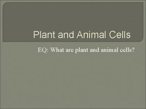 Plant and Animal Cells EQ What are plant