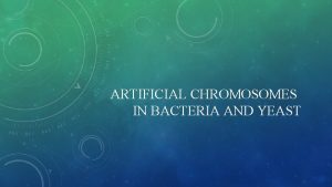 ARTIFICIAL CHROMOSOMES IN BACTERIA AND YEAST YEAST ARTIFICIAL