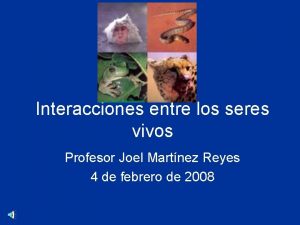 Interacciones entre los seres vivos Profesor Joel Martnez