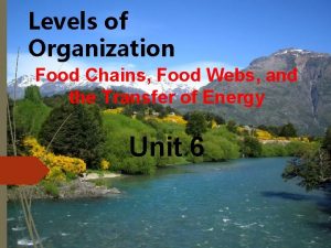 Levels of Organization Food Chains Food Webs and