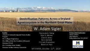 Denitrification Patterns Across a Dryland Agroecosystem in the