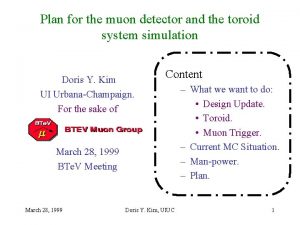 Plan for the muon detector and the toroid