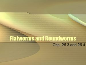 Flatworms and Roundworms Chp 26 3 and 26