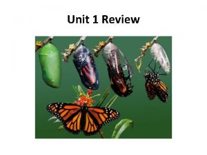 Unit 1 Review Transformation Transformation general term for