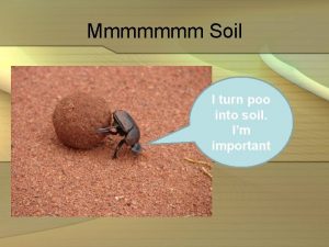 Mmmmmmm Soil I turn poo into soil Im