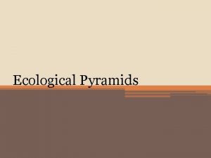 Ecological Pyramids Ecological Pyramids Three types of ecological