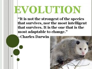 EVOLUTION It is not the strongest of the