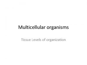 Multicellular organisms Tissue Levels of organization Origins of