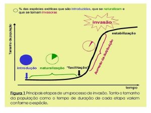 1 ACCIA Acacia cyclops 2 ACCIADASESPIGAS Acacia longifolia