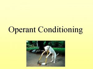 Operant Conditioning Classical v Operant Conditioning Both classical