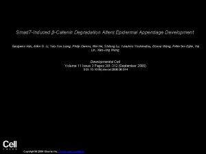 Smad 7 Induced Catenin Degradation Alters Epidermal Appendage