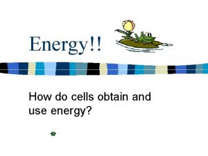 Energy How do cells obtain and use energy