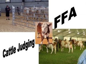 Common Beef Breeds Angus Charolais Hereford Simmental Angus Common Beef Breeds Angus Charolais Hereford Simmental Angus