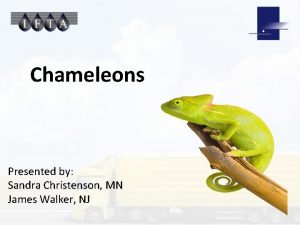 Chameleons Presented by Sandra Christenson MN James Walker