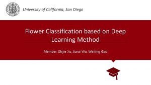 University of California San Diego Flower Classification based