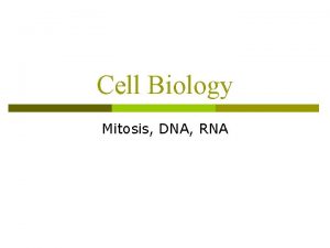 Cell Biology Mitosis DNA RNA Mitosis Cell Reproduction