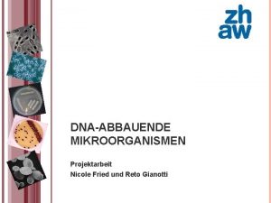 DNAABBAUENDE MIKROORGANISMEN Projektarbeit Nicole Fried und Reto Gianotti