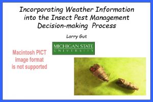 Incorporating Weather Information into the Insect Pest Management