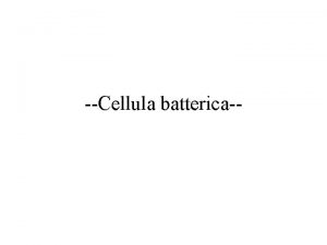 Cellula batterica When a bacterium such as E