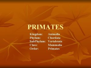 PRIMATES Kingdom Phylum Sub Phylum Class Order Animalia