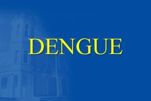 DENGUE Vrus do Dengue n um arbovrus da