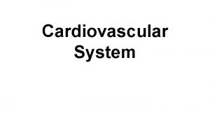 Cardiovascular System Functions Transports oxygen and carbon dioxide