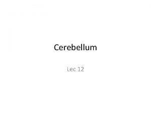 Cerebellum Lec 12 Functional regions of cerebellum Cerebrocerebellum