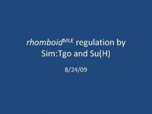 rhomboid MLE regulation by Sim Tgo and SuH