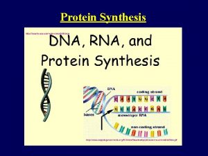 Protein Synthesis Protein Synthesis DNA is in the