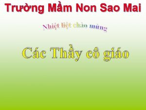 Trng Mm Non Sao Mai Cc Thy c
