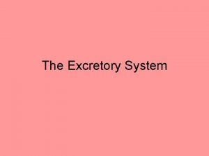 The Excretory System 4 human excretory organs Liver