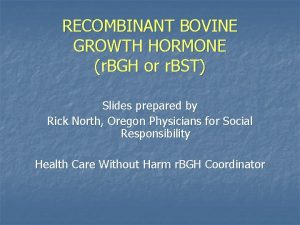 RECOMBINANT BOVINE GROWTH HORMONE r BGH or r