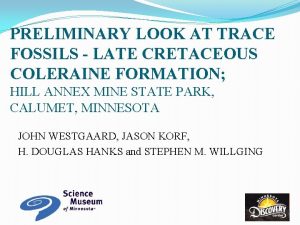 PRELIMINARY LOOK AT TRACE FOSSILS LATE CRETACEOUS COLERAINE