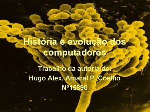 Histria e evoluo dos computadores Trabalho da autoria