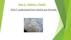 Year 6 Science Fossils WALT understand how fossils