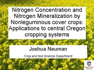 Nitrogen Concentration and Nitrogen Mineralization by Nonleguminous cover