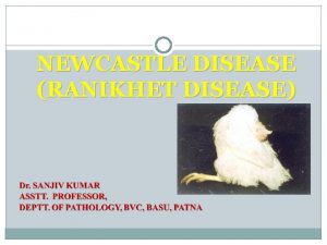 NEWCASTLE DISEASE RANIKHET DISEASE INTRODUCTION Notifiable disease Avian